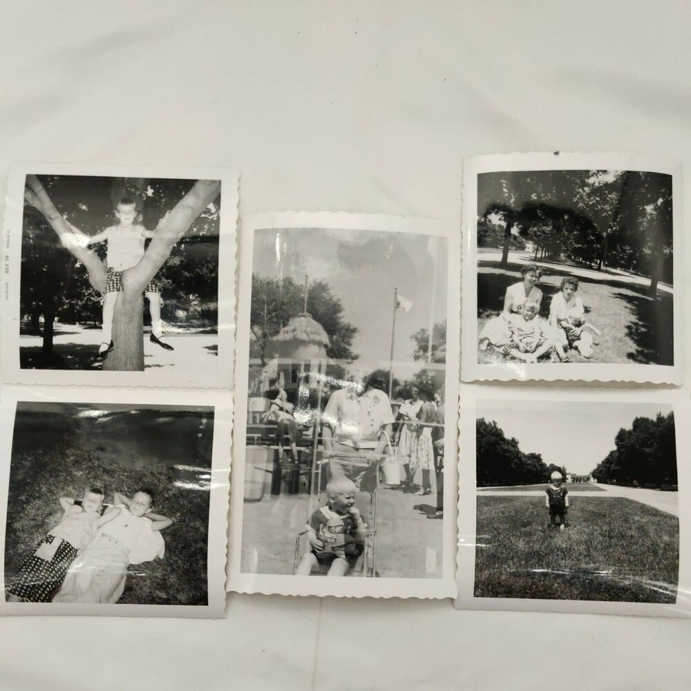 (5) 1959 50s Chicago Summer - Children & Mother Family At Park Outdoor Photo Set